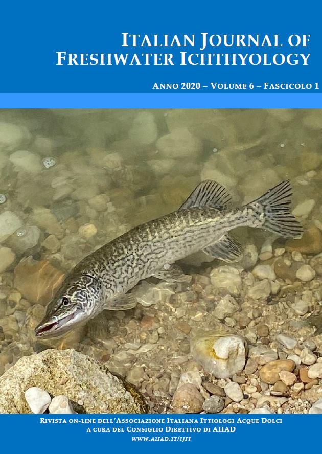 Esox cisalpinus