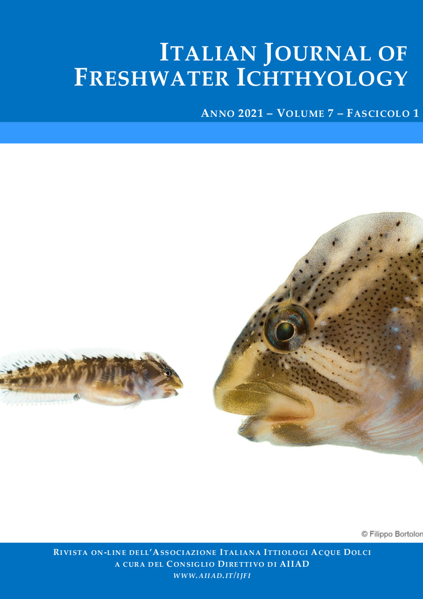 Visualizza V. 7 N. 1 (2021): ITALIAN JOURNAL OF FRESHWATER ICHTHYOLOGY